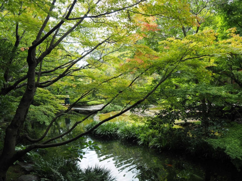 Hofu Cultural Trip - Hoshoan - 5