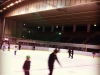 Big Wave Ice-Rink