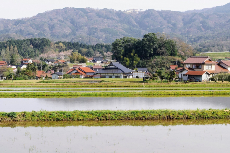 Ikoi No Mura Shimane sits atop the Ohochi Basin in Ohnan