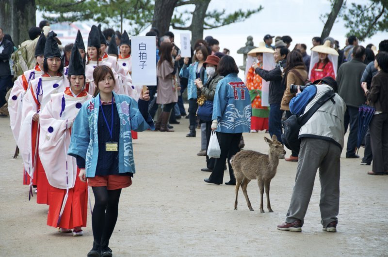 Kiyomori Matsuri - 03