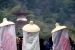 Kiyomori Matsuri - 16