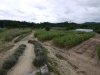 kozan-lavender-no-oka-03