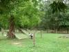 kozan-lavender-no-oka-05