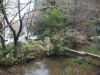 kutenan-04