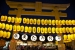 mantou-mitama-matsuri-29