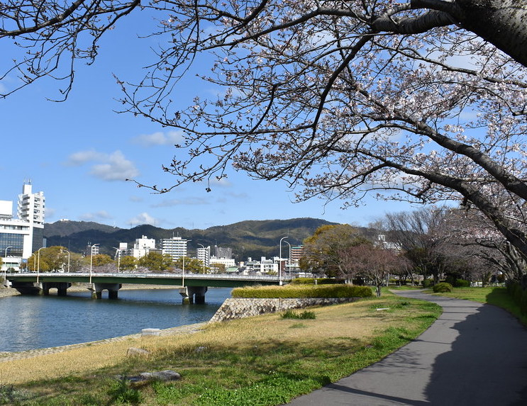 SorazayaBridge