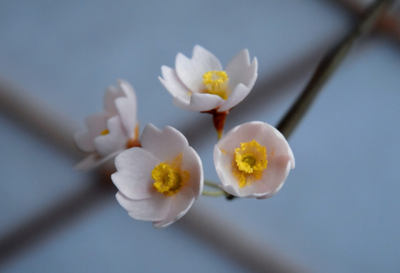 Wagashi sculptures at Saiundo