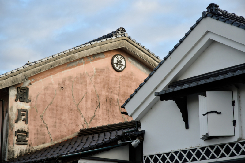 Vestiges of history