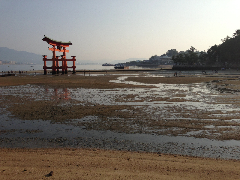 the giant Tori is a short walk from the guesthouse