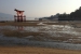 the giant Tori is a short walk from the guesthouse