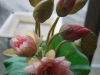 p1130670