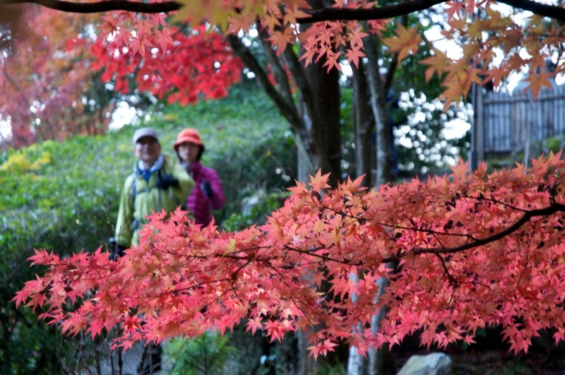 mitaki-4