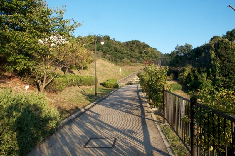 mitate-yama-hike-06
