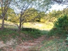 mitate-yama-hike-12