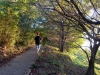 mitate-yama-hike-15