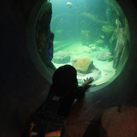 aquarium-07