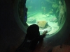 aquarium-07
