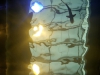 aquarium-10