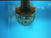 aquarium-11