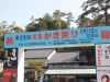 Miyajima Oyster Festival