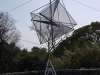 Outdoor Sculpture: Our Planet