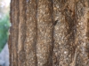 Outdoor fountain in detail