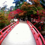momiji-bashi-bridge-miyajima-in-early-autumn-13