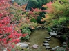 momiji-bashi-bridge-miyajima-in-early-autumn-01