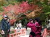 momiji-bashi-bridge-miyajima-in-early-autumn-03