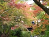 momiji-bashi-bridge-miyajima-in-early-autumn-07
