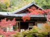 momiji-bashi-bridge-miyajima-in-early-autumn-08