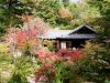 momiji-bashi-bridge-miyajima-in-early-autumn-09