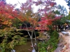momiji-bashi-bridge-miyajima-in-early-autumn-10
