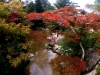 momiji-bashi-bridge-miyajima-in-early-autumn-12