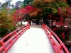 momiji-bashi-bridge-miyajima-in-early-autumn-13