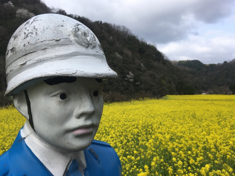 Ohnan rapeseed policeman