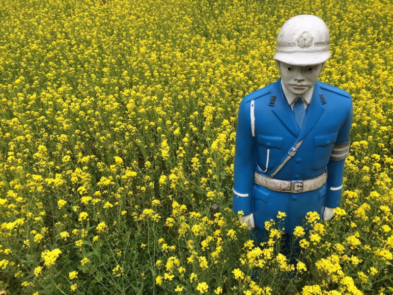 Ohnan rapeseed policeman 4