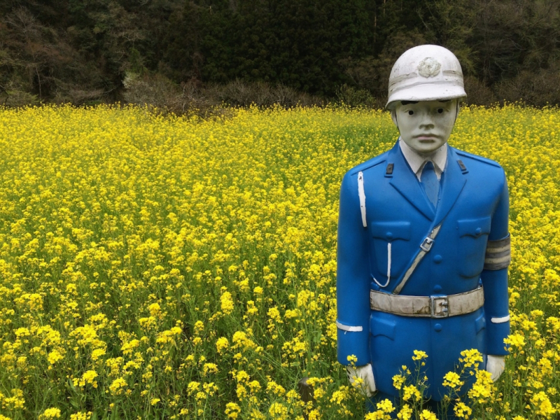Ohnan rapeseed policeman 5