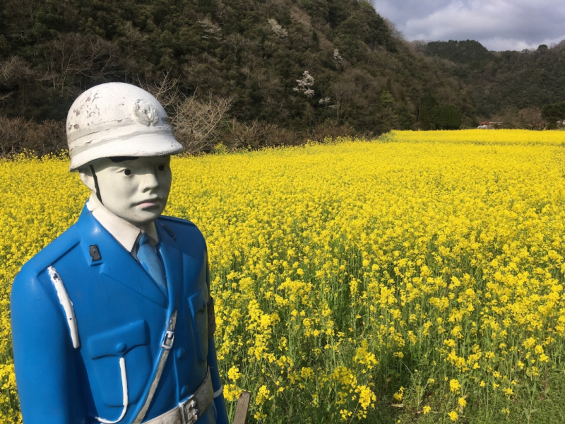 Ohnan rapeseed policeman 6