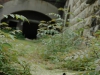 rabbit in front of poison gas factory bunker