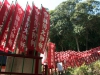 peace-pagoda-hike-08