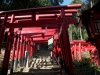peace-pagoda-hike-09