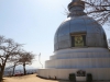 peace-pagoda-08