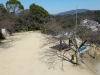 peace-pagoda-09