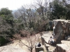peace-pagoda-10