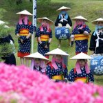Shukkei-en Garden Ritual Rice Planting - 05