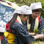Shukkei-en Garden Ritual Rice Planting - 07