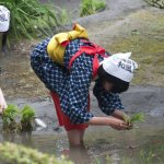 Shukkei-en Garden Ritual Rice Planting - 10