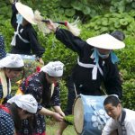 Shukkei-en Garden Ritual Rice Planting - 11