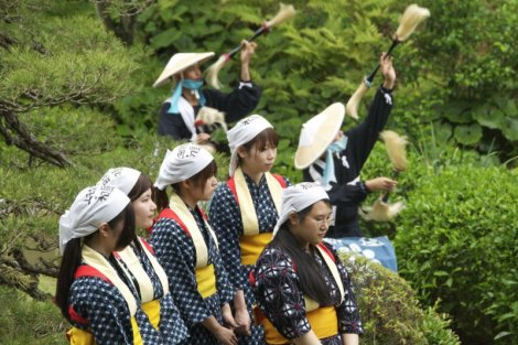 Shukkei-en Garden Ritual Rice Planting - 13